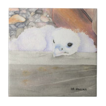 B.Weaver Orion design  small Ceramic Tile