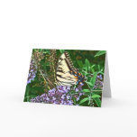 BA- Awesome Yellow Swallowtail Butterfly Card