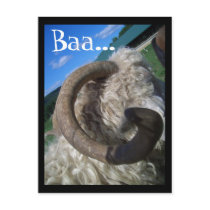 Baa... postcards by sorbetlove Baa... postcards