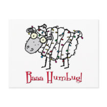 Baaa Humbug Christmas Postcard