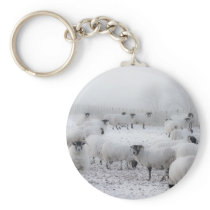 Baad Weather Key Chains