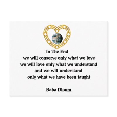 Baba Dioum Quote Postcards by orsobear