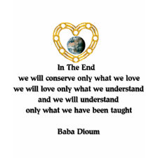 Baba Dioum Quote shirt