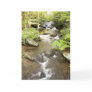 Babbling Brook Greeting Cards