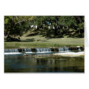 Babbling Brook cards by T_Trant Babbling Brook cards
