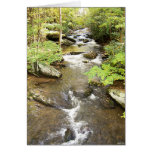 Babbling Brook Greeting Cards