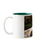 Babbling Brook Mug