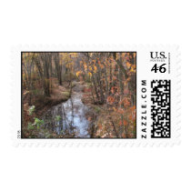 Babbling Brook Stamp