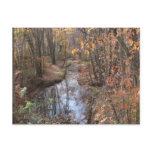 Babbling Brook Postcards