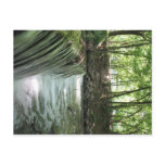 Babbling Brook Post Card