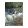 Babbling Brook Postcards