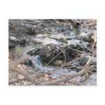 Babbling Brook Postcards