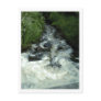 Babbling Brook Post Cards