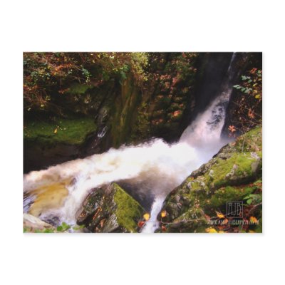 Babbling Brook Postcard by adithx