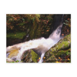 Babbling Brook Postcard