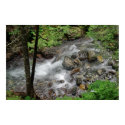 Babbling brook posters