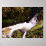 Babbling Brook Posters