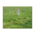 Babe in Field postcards by JesPiddlin Babe in Field postcards