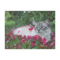 Babe In Roses Postcard