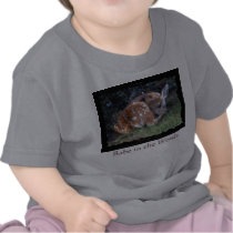 BABE IN THE WOODS ~ t-shirts by RavenSpiritPrints BABE IN THE WOODS ~ t-shirts