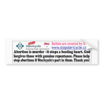Babies are human - need protection bumper sticker