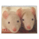 babies calendars