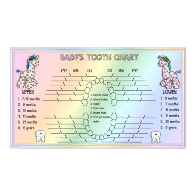 Babies Tooth Chart Posters by SweetRascal