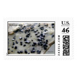 Babingtonite Stamps