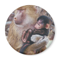 Baboon and Baby magnets