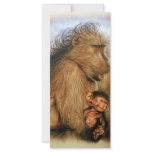 Baboon & Baby Prints Full Color Rack Card rack cards