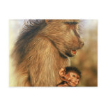 Baboon & Baby Prints Postcards