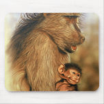 Baboon & Baby Prints use Pads