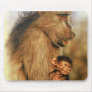 Baboon & Baby Prints use Pads