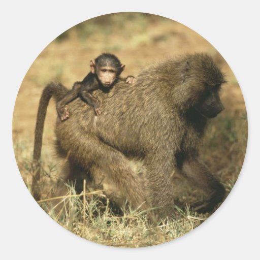 Baboon Family Stickers