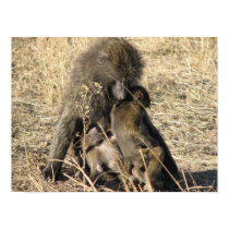 Baboon Mom posters