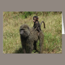 Baboon mother & baby cards