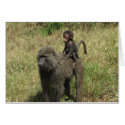 Baboon mother & baby cards by spuga2000 Baboon mother & baby cards