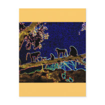 Baboon on Tree from Junglewalk,com postcards