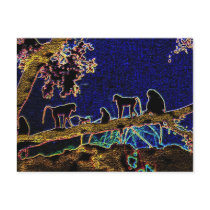 Baboon on Tree from Junglewalk,com postcards