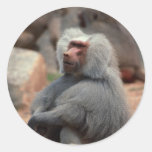 Baboon Sitting Sticker