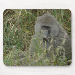 Baboons' Pad Mousepads