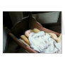 Babt Doll in Cradle Greeting Card
