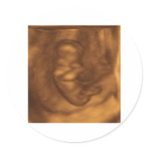 baby 3d 11 weeks stickers by luxlipps baby 3d 11 weeks stickers