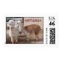 BABY ALPACAS CRISTO REY postage by KABSANNIE BABY ALPACAS CRISTO REY postage