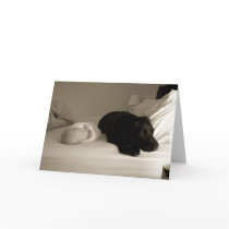 Baby and dog cards by tar101672 Baby and dog cards