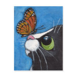 Baby and the Viceroy - Cat Postcard