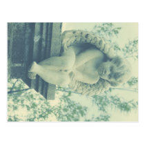 Baby Angel Statue Postcard postcards
