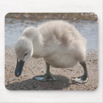 Baby Animal Swan Mousepad