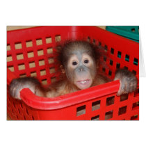 Baby Animals - Alfred Greeting cards by Rebecca_Reeder Baby Animals - Alfred Greeting cards
