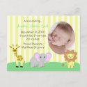 Baby Animals Birth Announcements Postcard postcard